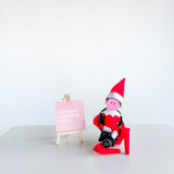 Elf Camera and Backpack